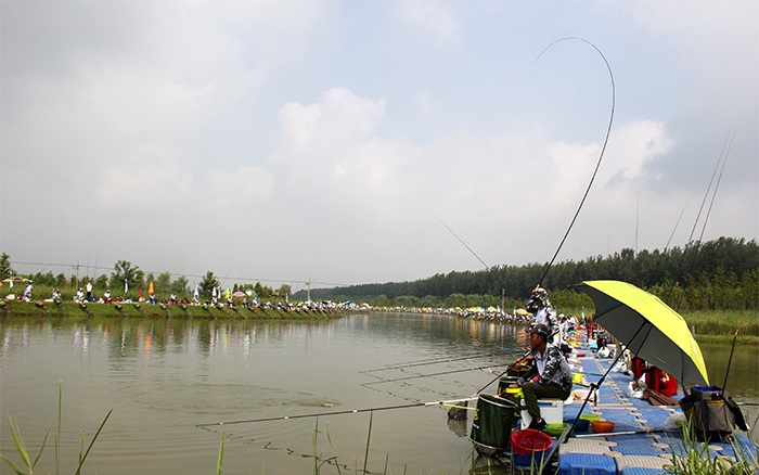 IMG_4561.jpg